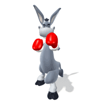 Boxing Donkey